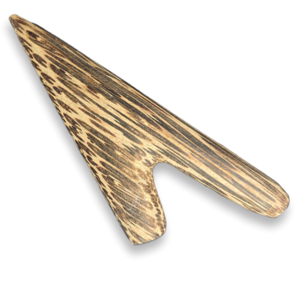 Kuripe Drzewo Kokosowe