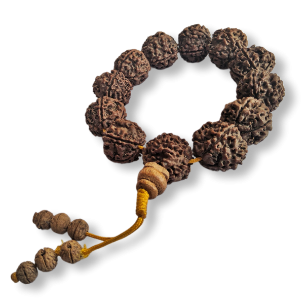 Mala Rudraksha 12 koralików