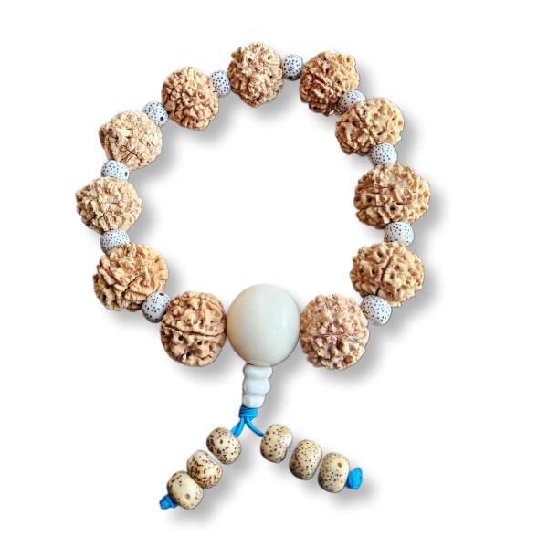 Mala Rudraksha 12 koralików